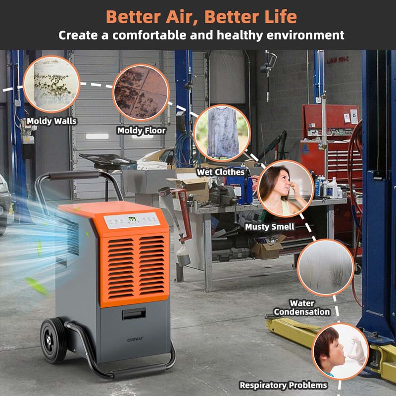 Canada Only - Portable Commercial Dehumidifier with Water Tank & Drainage Pipe