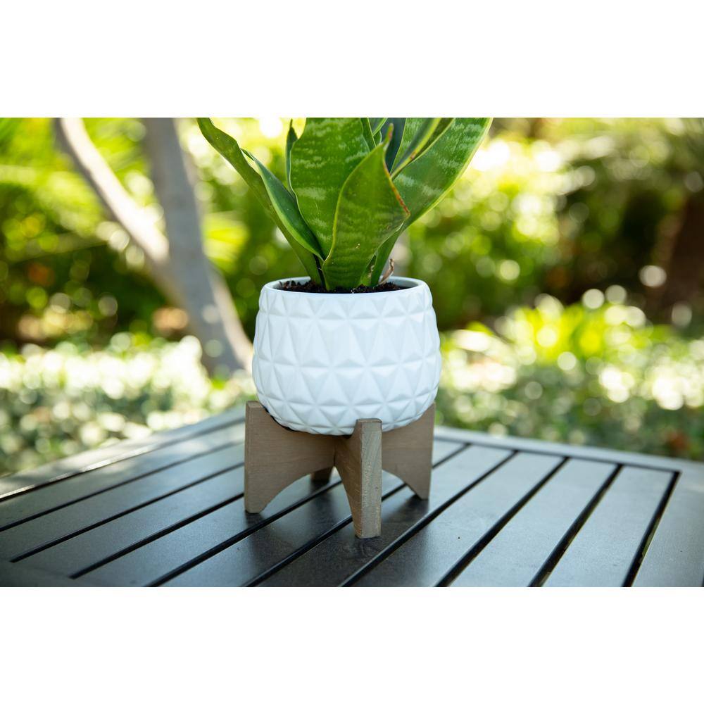 Flora Bunda 5 in. Matte White Kaleid Ceramic on Wood Stand Mid-Century Planter CT1223E-MTWH