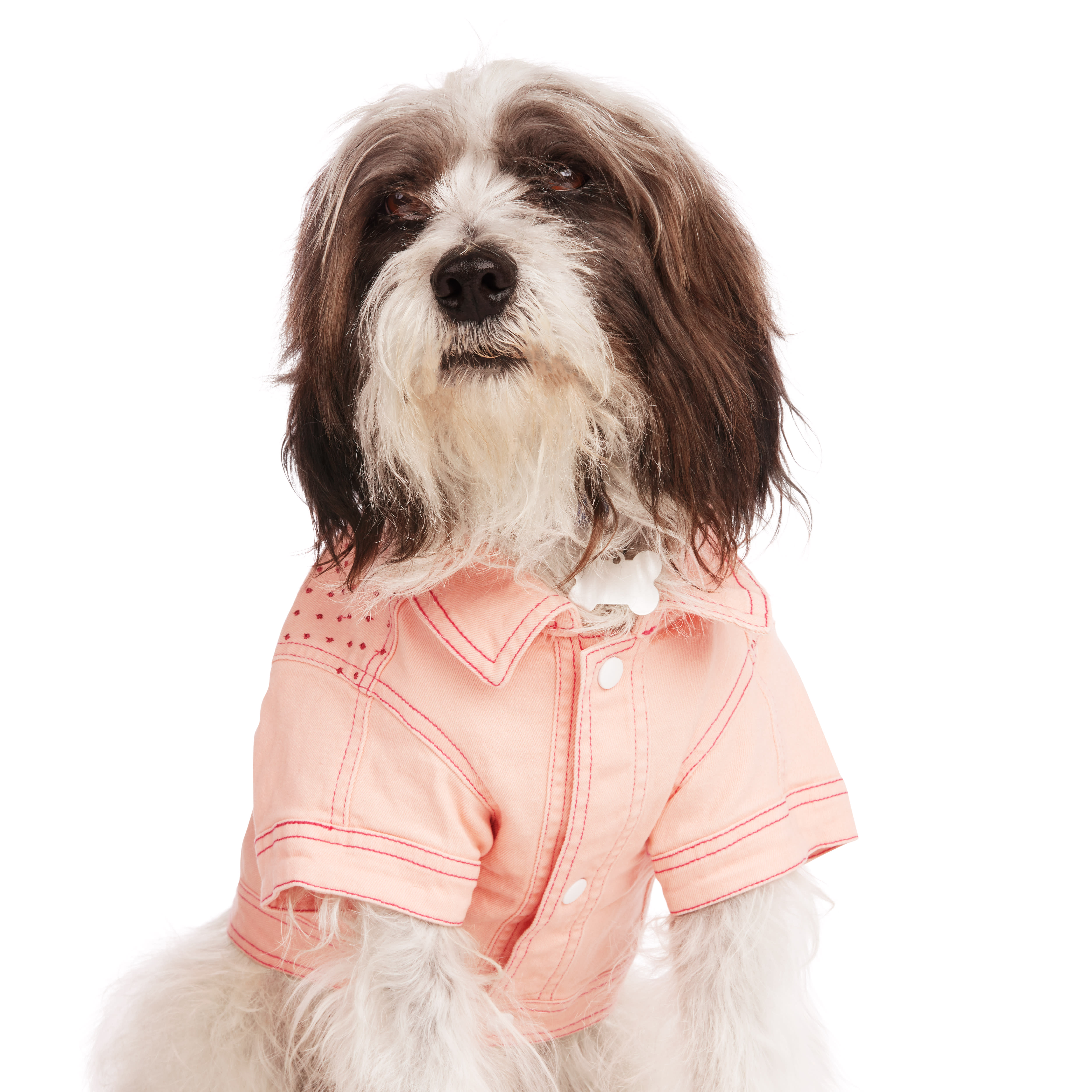 YOULY Pink Denim Jacket for Dogs， XX-Small