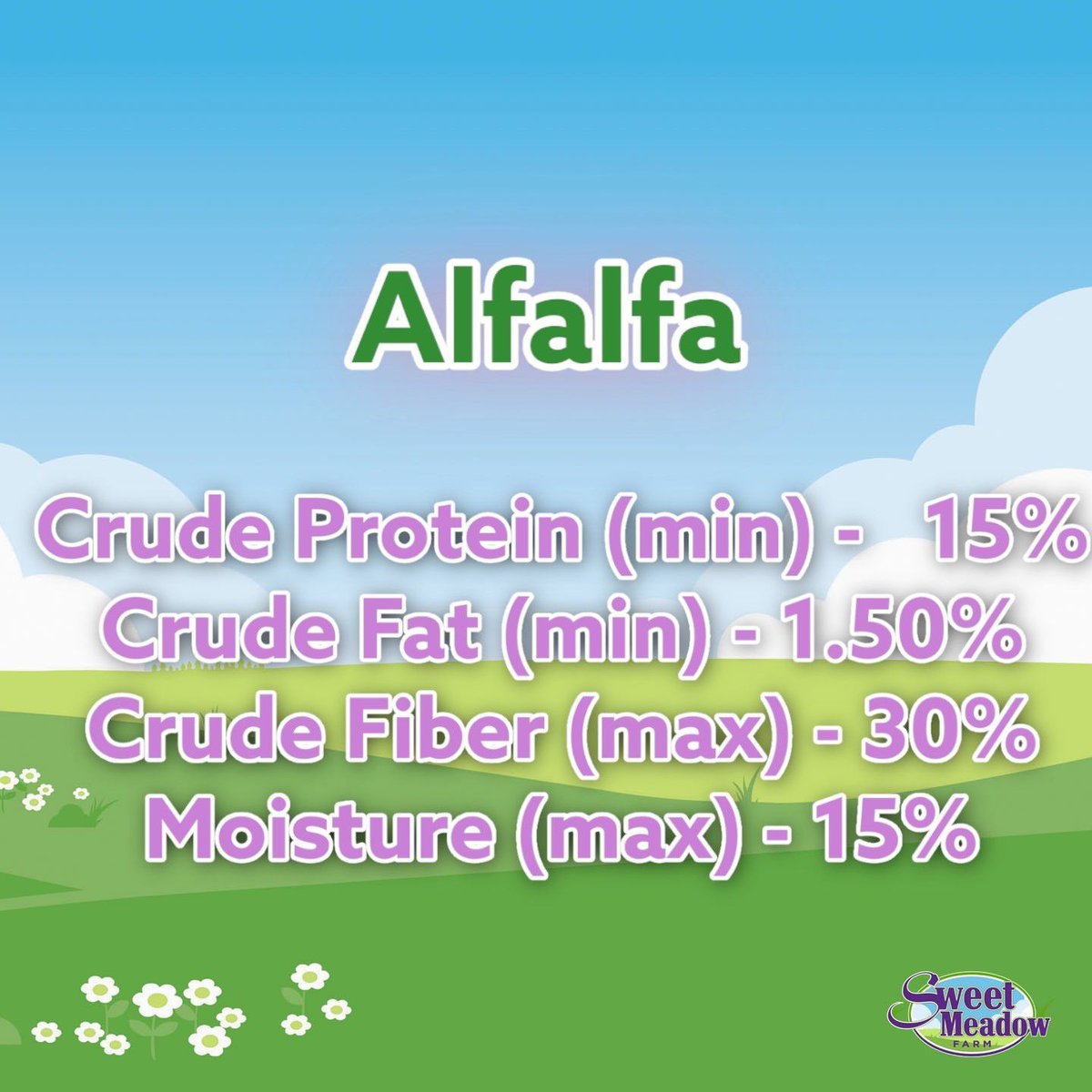 Sweet Meadow Farm Alfalfa Hay Small Pet Food