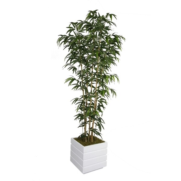 Vintage Home 78inch Tall Natural Bamboo Tree in 14inch Planter