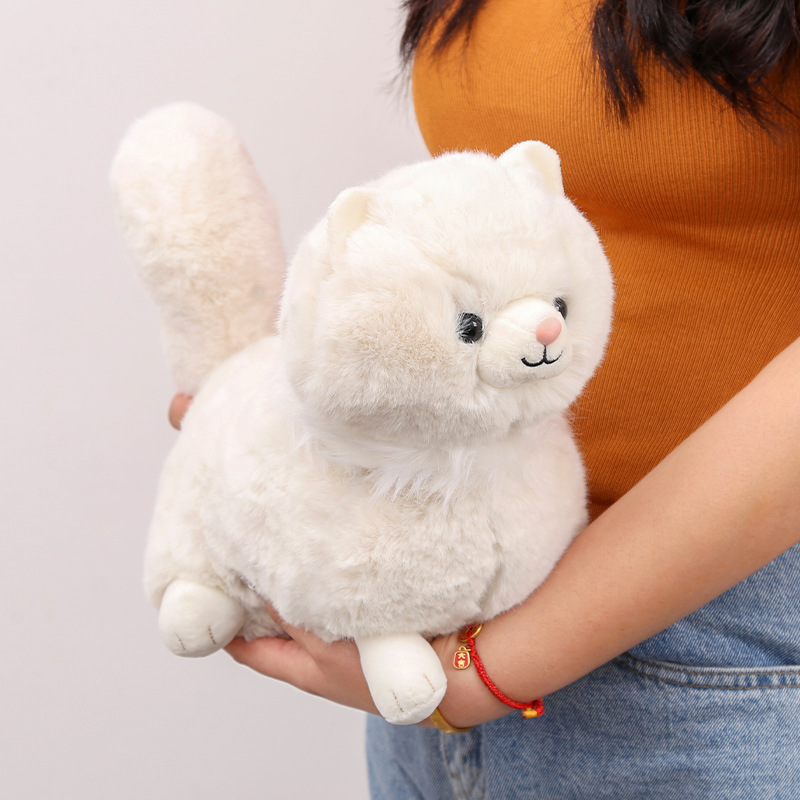 Persian Cat Doll, Plush Cat Toy, Pillow, Birthday Gift Doll