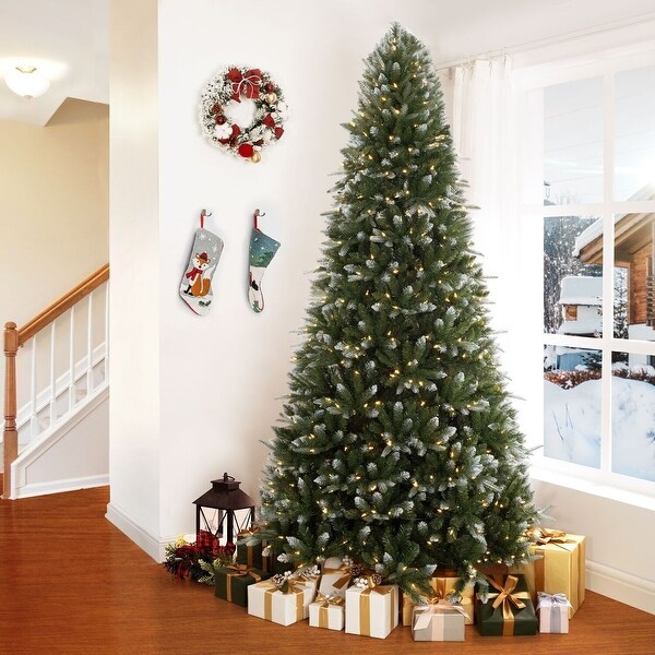 Alberta White Tip Christmas Tree with Lights，Prelit Christmas Tree，Pine Fir with Led Lights，White Painted Tips