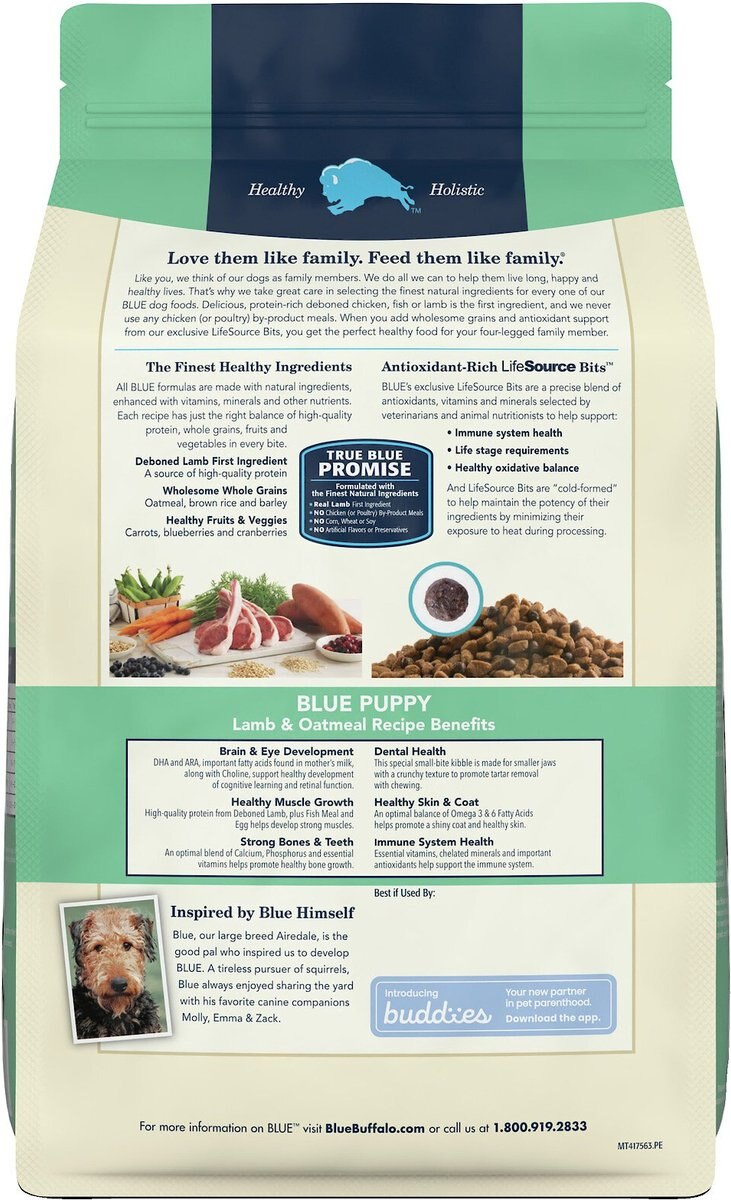 Blue Buffalo Life Protection Formula Puppy Lamb and Oatmeal Recipe Dry Dog Food