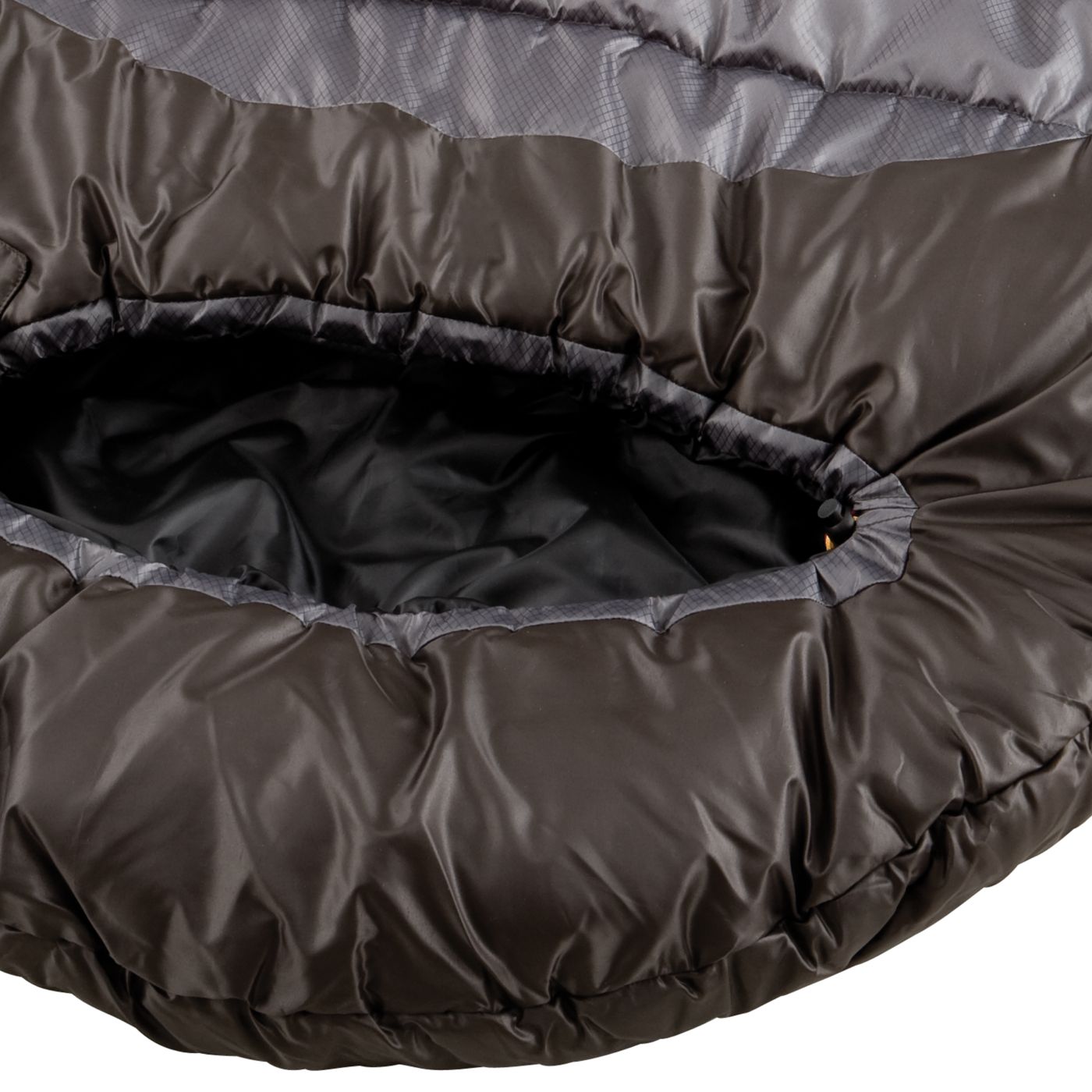 Coleman 20° F Adult Mummy Sleeping Bag