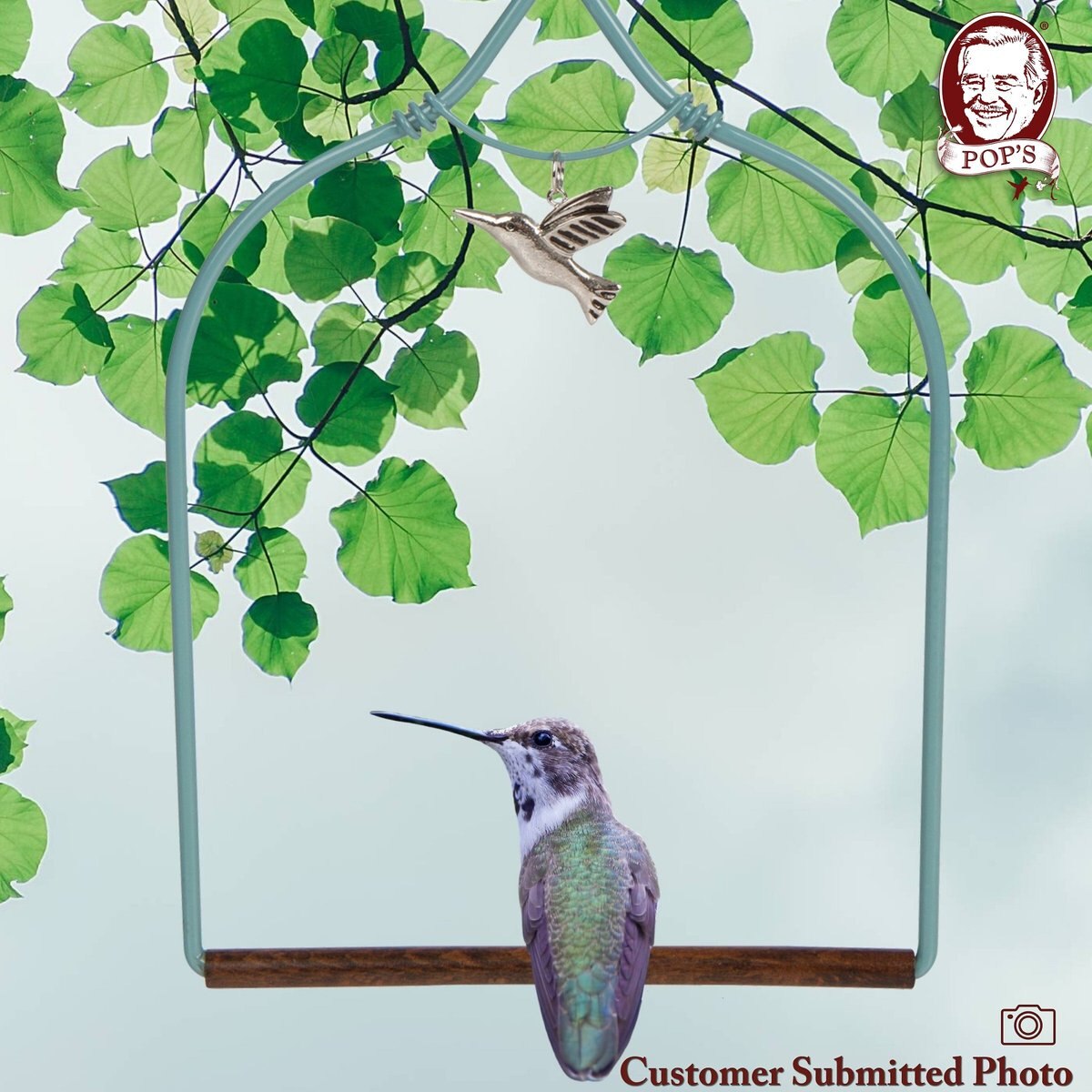 Pop's Birding Company The Original Hummingbird Swing Charmed Bird Swing