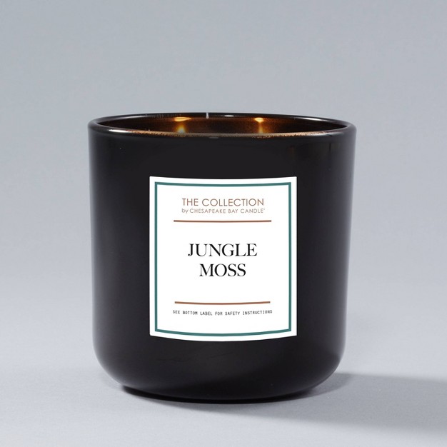 2 wick Black Glass Jungle Moss Lidded Jar Candle 12oz The Collection By Chesapeake Bay Candle