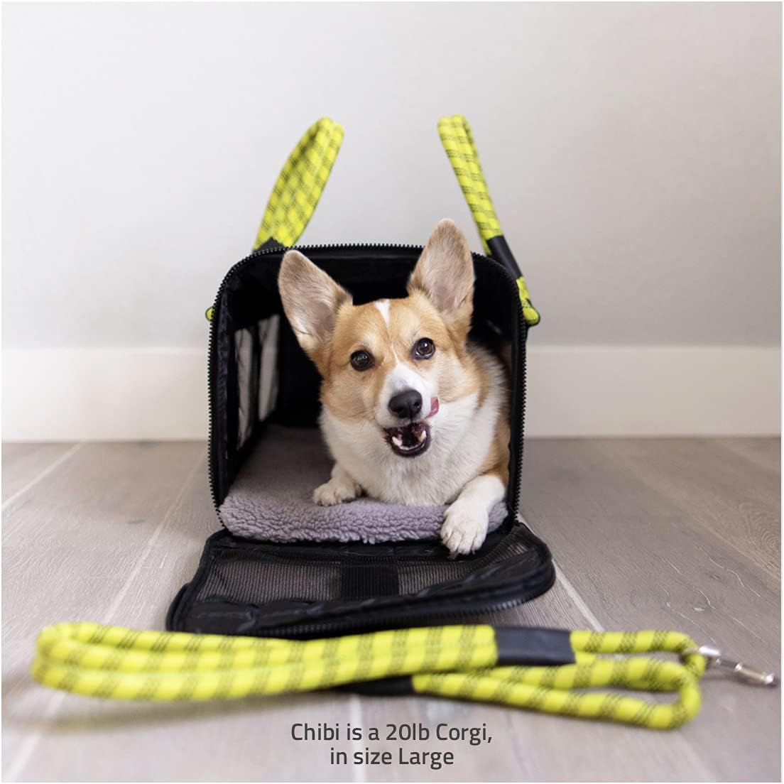 Airline Compliant   Travel Bag and Car Seat. Includes Leash. Stylish. . Two Sizes for Most Pets up to 20lbs.