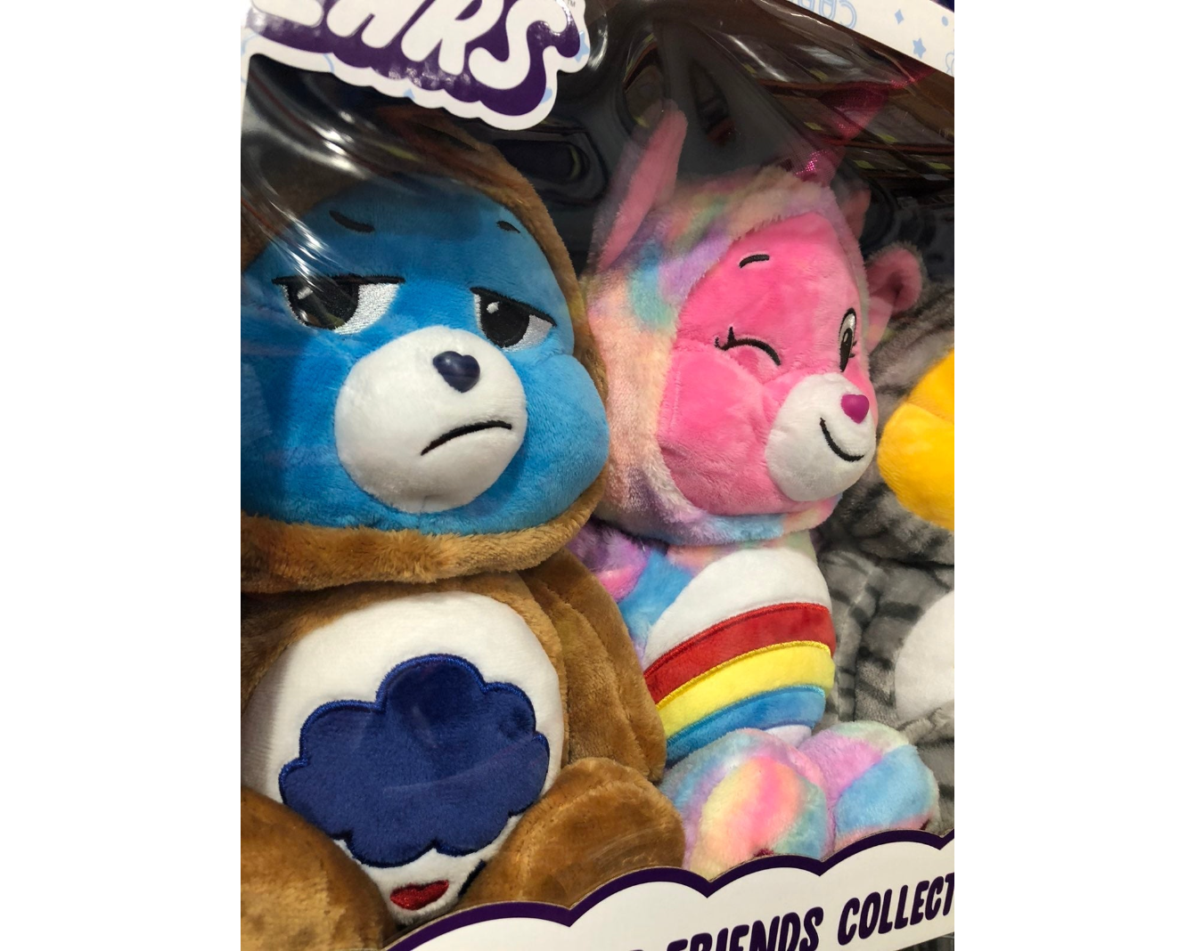 Care Bears Hoodie Friends Collector