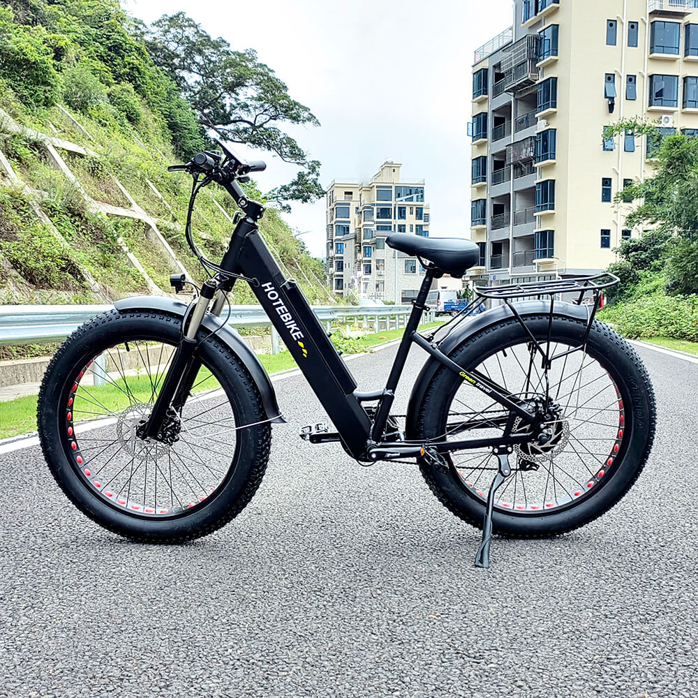 best design electric bike for sale 36V 48V 250W 350W 500W 750W electric mountain bicycle 26inch fat tire electric bike cycle