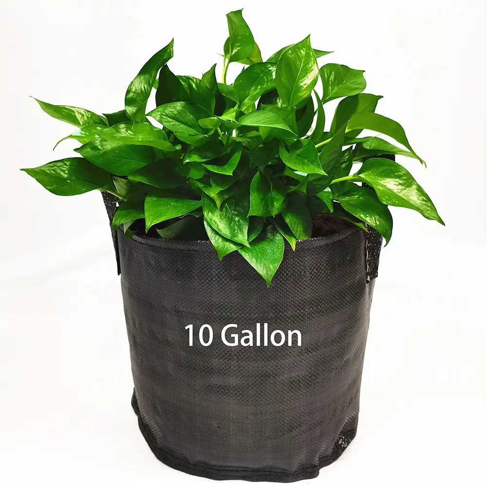 HOKBG Anti UV woven PP fabric Plant Grow Bags 10 Gallon Heavy Duty fabric Garden Pot Aeration Nursery bag for Outdoor plants