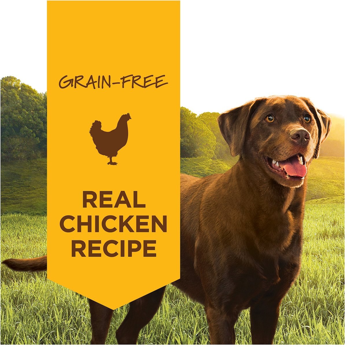 Instinct Original Grain-Free Real Chicken Recipe Natural Wet Canned Dog Food