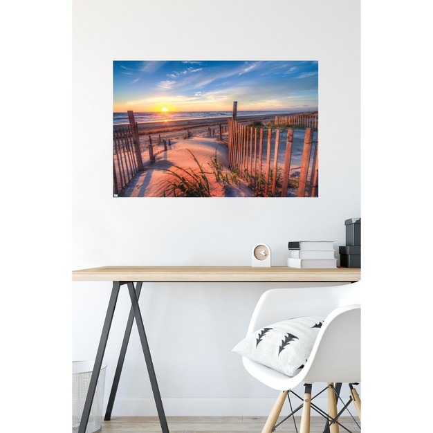 Trends International Scenery Boardwalk Unframed Wall Poster Prints