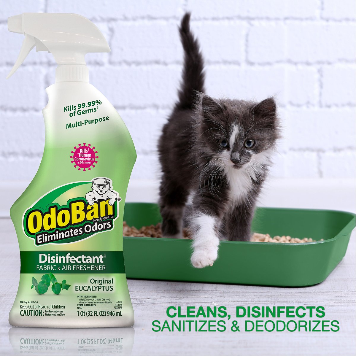 OdoBan Disinfectant Fabric and Air Freshener Spray， Eucalyptus Scent