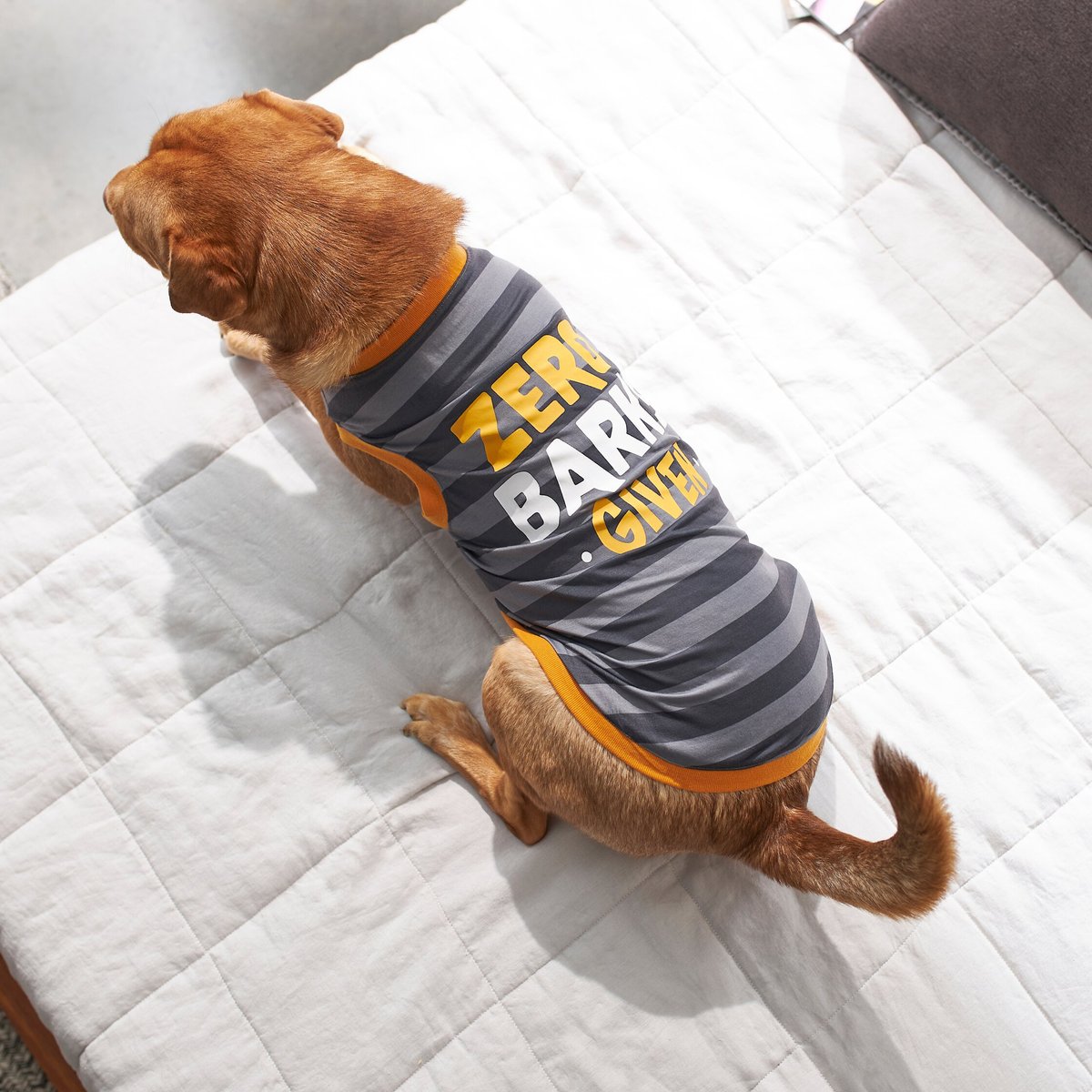 Frisco Zero Barks Given Dog and Cat T-Shirt