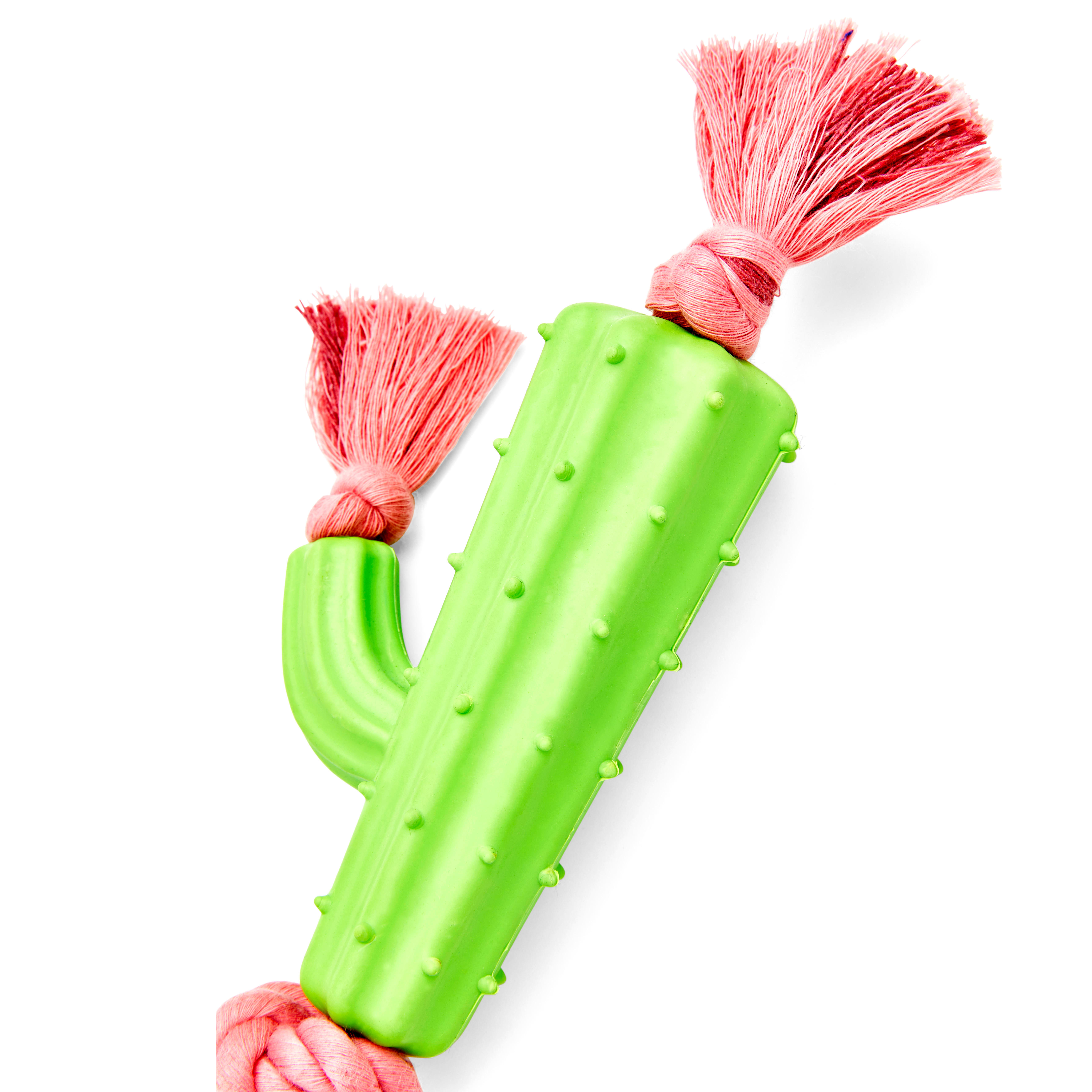 Leaps  Bounds Rubber Cactus  Rope Dog Toy， Large