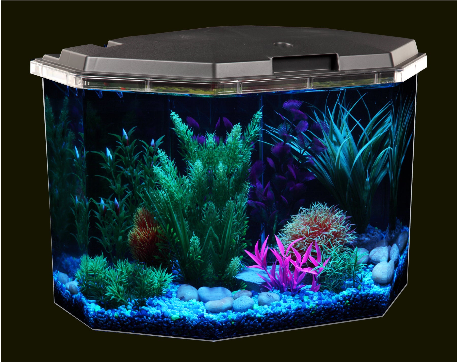 KollerCraft Smart Tank 6.5-Gallon Aquarium Kit， Create Custom LED Light Colors， Monitor Tank Temperature， Schedule Maintenance Reminders and Alerts Easily From Your iPhone or Android