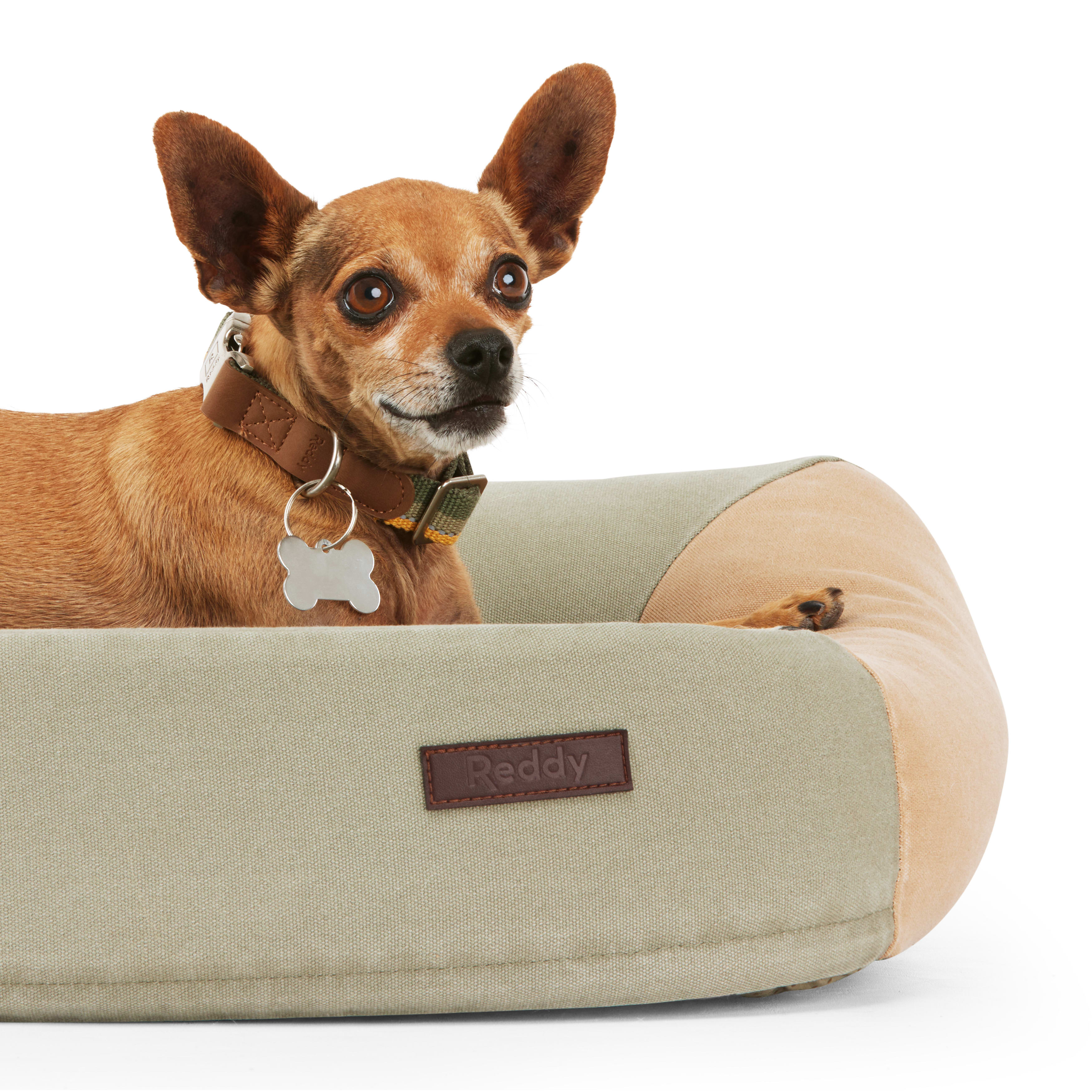 Reddy Olive and Tan Colorblock Dog Bed， 26