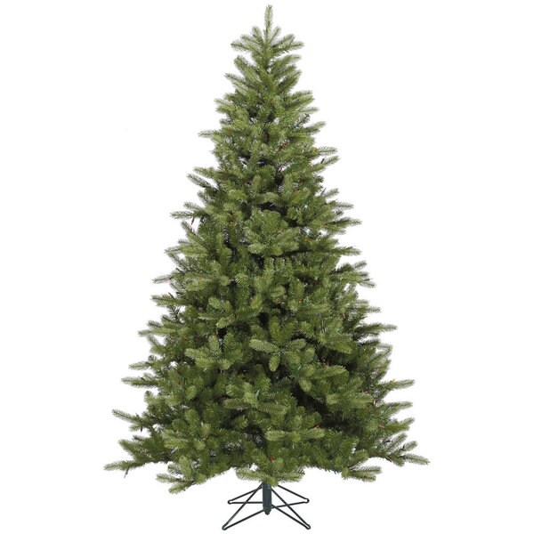 5.5' x 41 King Spruce Tree with 554 Tips