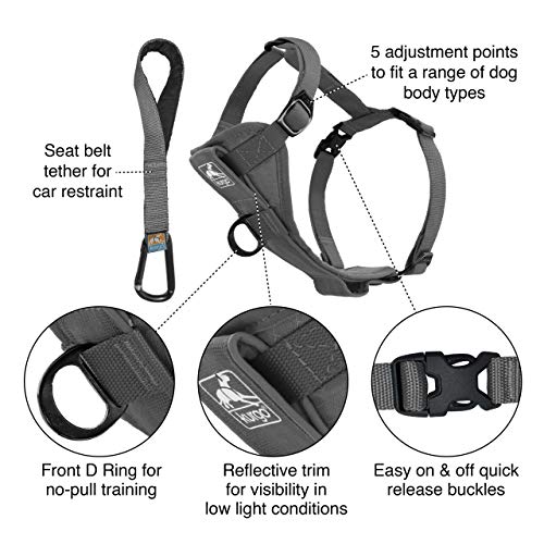 Kurgo Dog Harness | Pet Walking Harness | No Pull Harness Front Clip Feature for Training Included | Car Seat Belt | Tru-Fit Quick Release Style | Medium | Grey