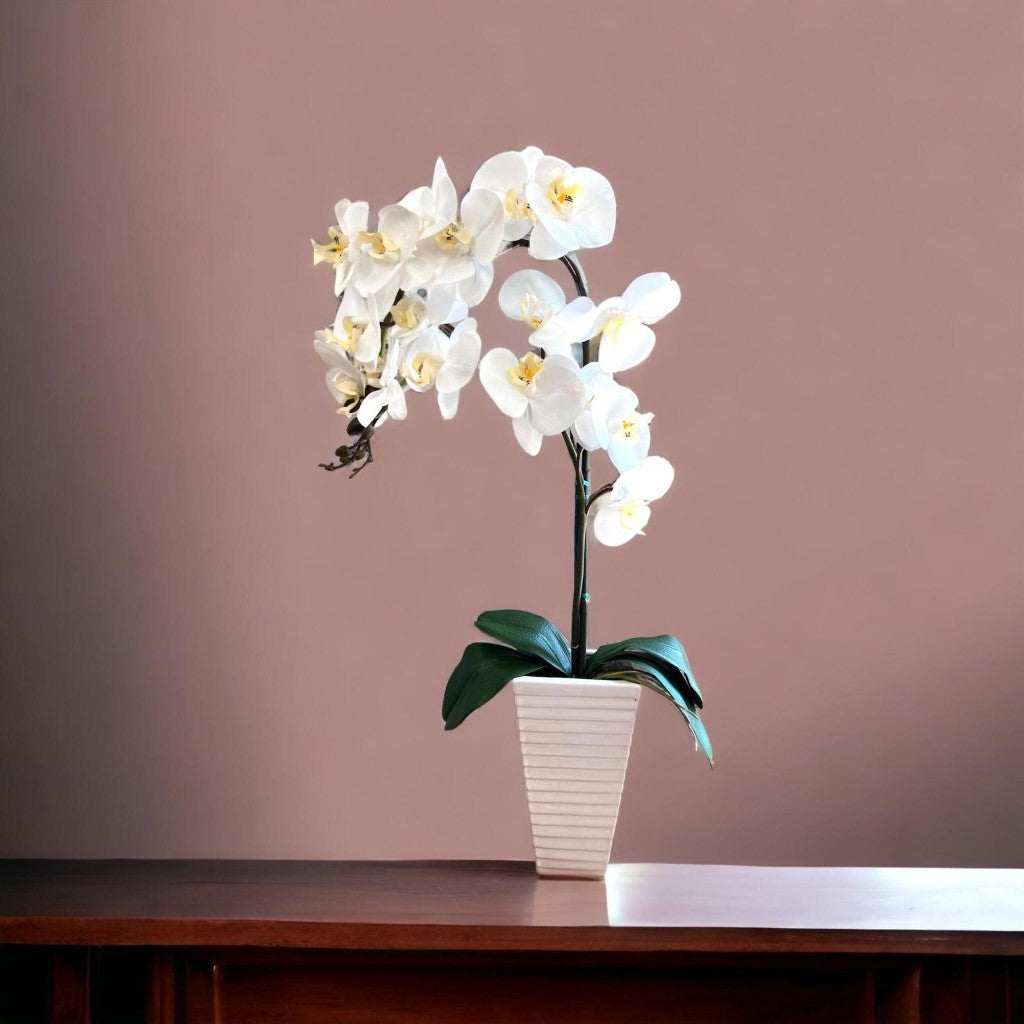 Stunning Artificial Orchids in Triangular Pot