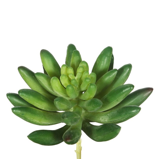 Artificial Cactus pk 6 Vickerman