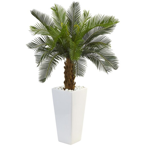 3' Cycas Tree in White Tower Planter