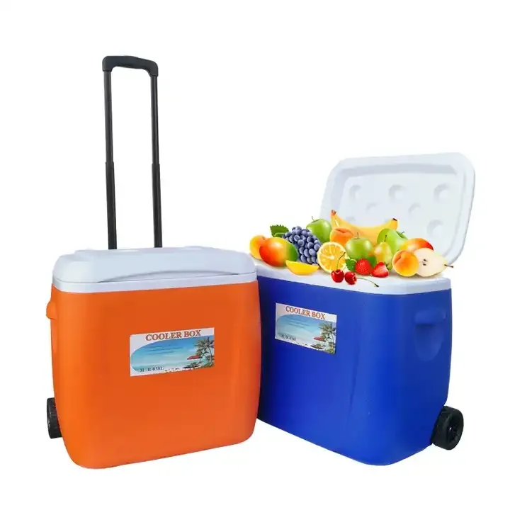 High Quality EPS Plastics Outdoor Refrigerated Portable Fresh keeping Box Fishing Car Small Cooler Box