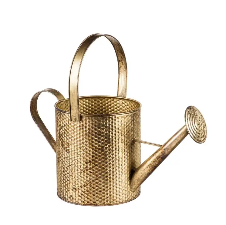 High Quality Gold Metal Watering Can fancy design for outdoor and indoor plants flowers watering can Home Garden bulk quantity