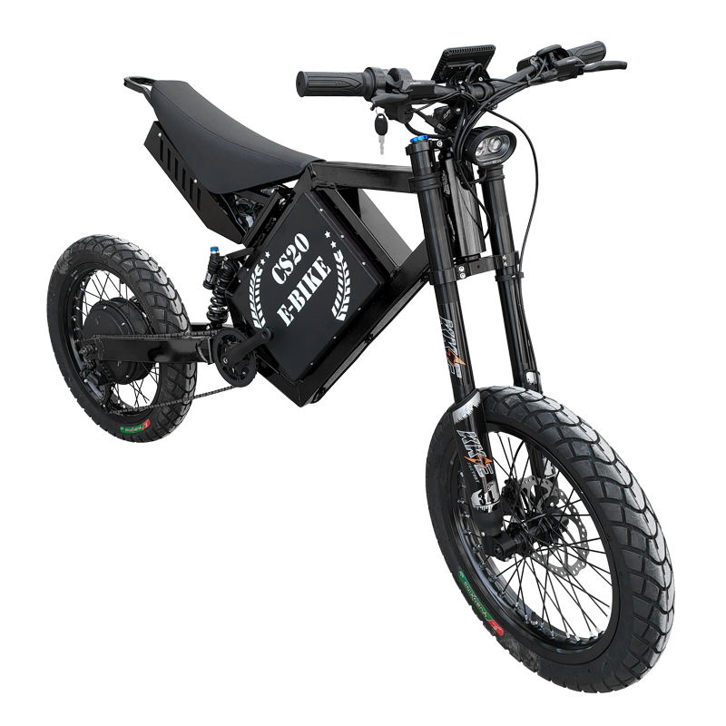 Paige Electric mountain bike motorcycle for engine kit dual battery bicycle dirt adult off road e bike e bicycle cycle ebike