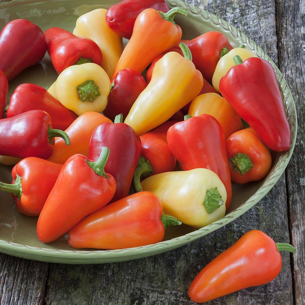 Bonnie Plants 19 oz. Havasu Pepper Plant 2907