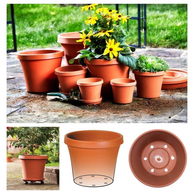 Bloem Terra Pot Planter