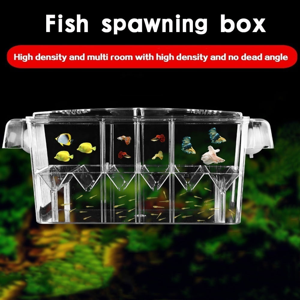 Willstar Fish Breeding Box， 4 Rooms Acrylic Fish Isolation Box with Suction Cups， Aquarium Acclimation Hatchery Incubator for Baby Fishes Shrimp Clownfish and Guppy