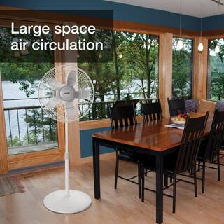 Air King 18 in. Commercial Grade Oscillating Pedestal Fan 9119