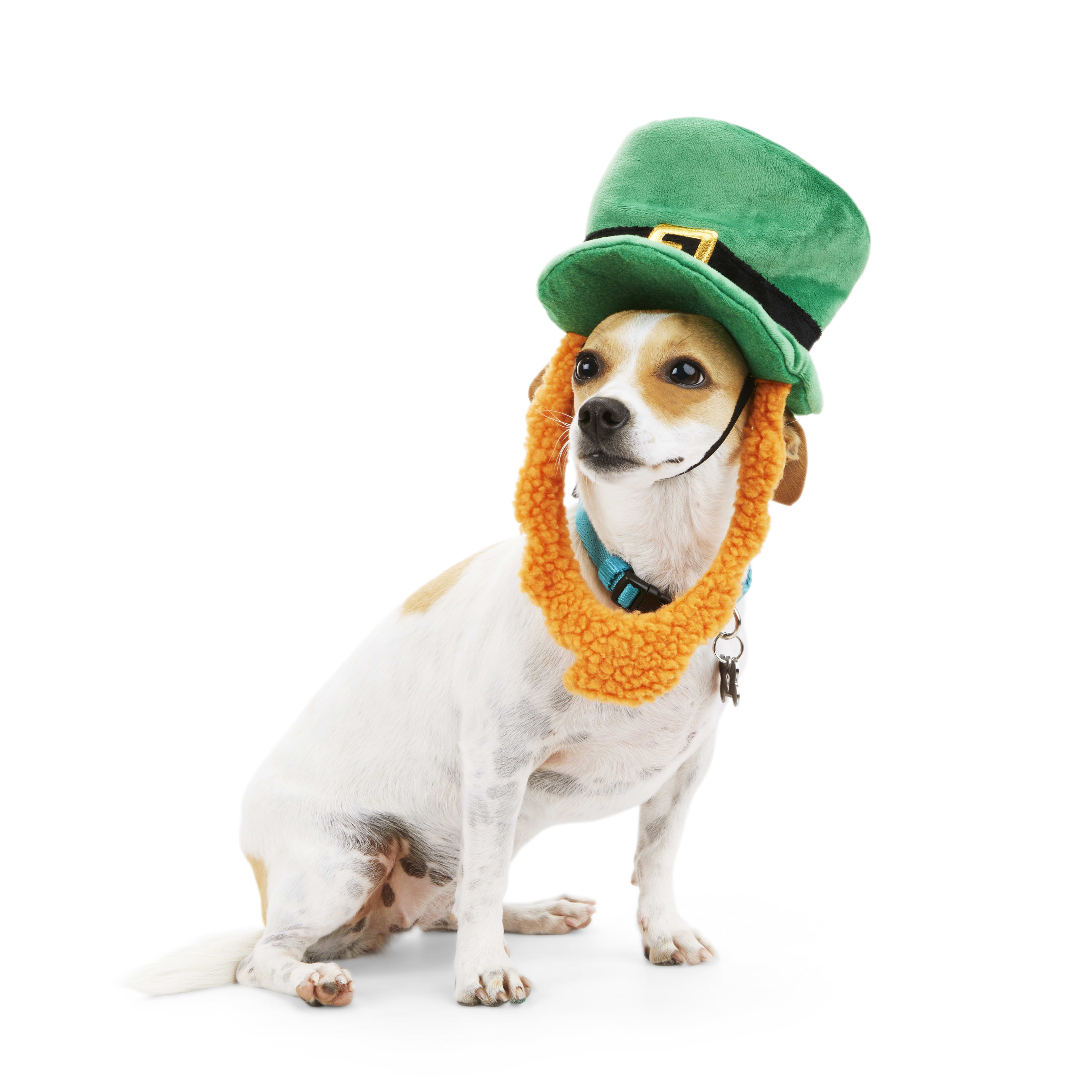 YOULY St. Pats Leprechaun Dog Headpiece， Small/Medium