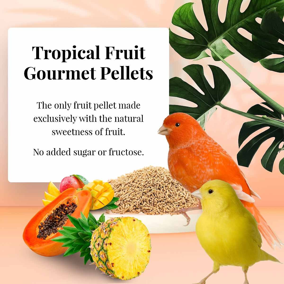 Lafeber Tropical Fruit Gourmet Pellets Canary Bird Food