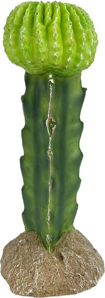 Komodo Cactus Moon Reptile Ornament， Green