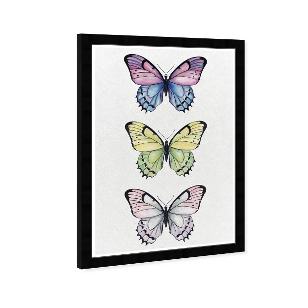 X 21 quot Butterfly Set Animals Framed Art Print Wynwood Studio