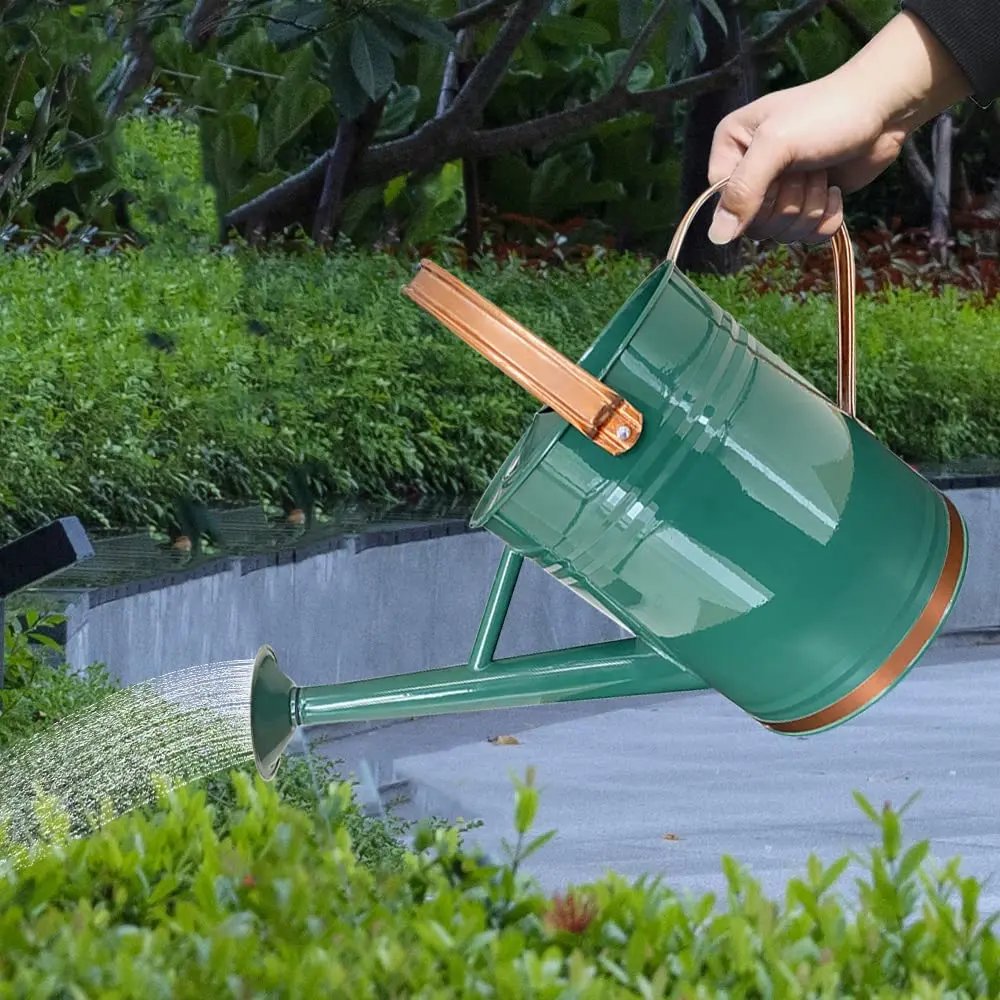 Green   Rose Gold Watering Can Indoor Outdoor Pot for Home Gardening Plants Watering Customize Auto Steel Stainless Tinting