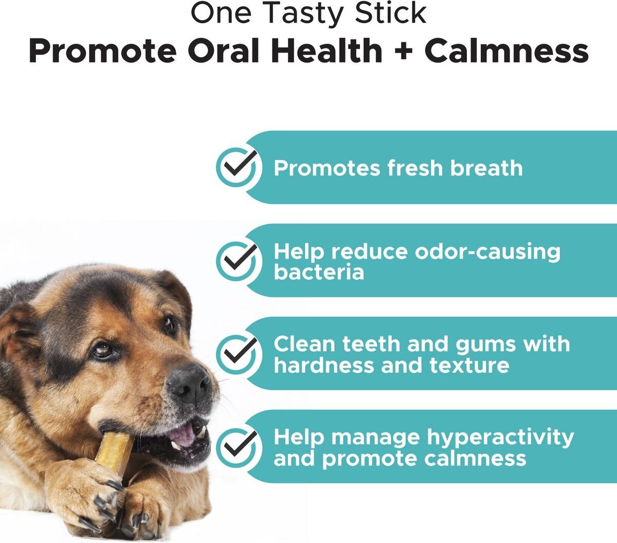 PetHonesty Hemp Calming Fresh Sticks Pumpkin-Peanut Butter Flavor Dog Dental Chews