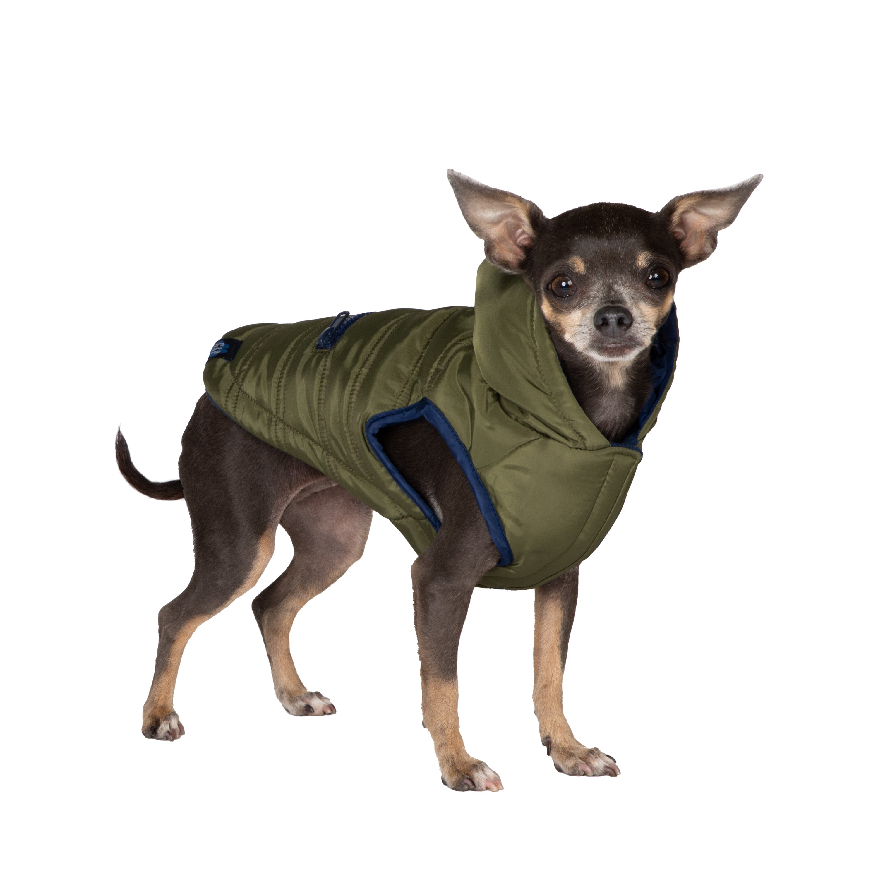 Gap Pet， Dog Clothes， Green Utility Dog Jacket