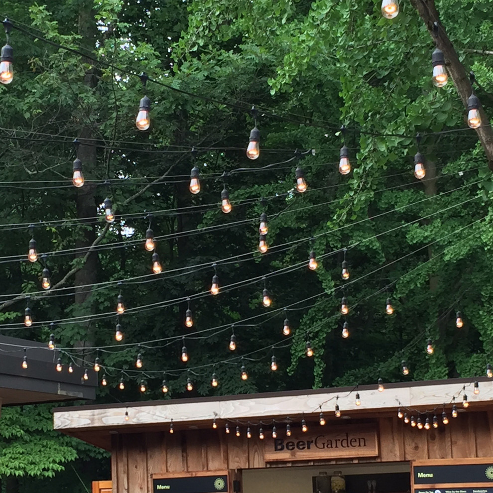 Electric String Lights  Commercial Grade Edison Style  12 Light   Industrial   Outdoor Rope And String Lights   by JH Specialties Inc.  Houzz