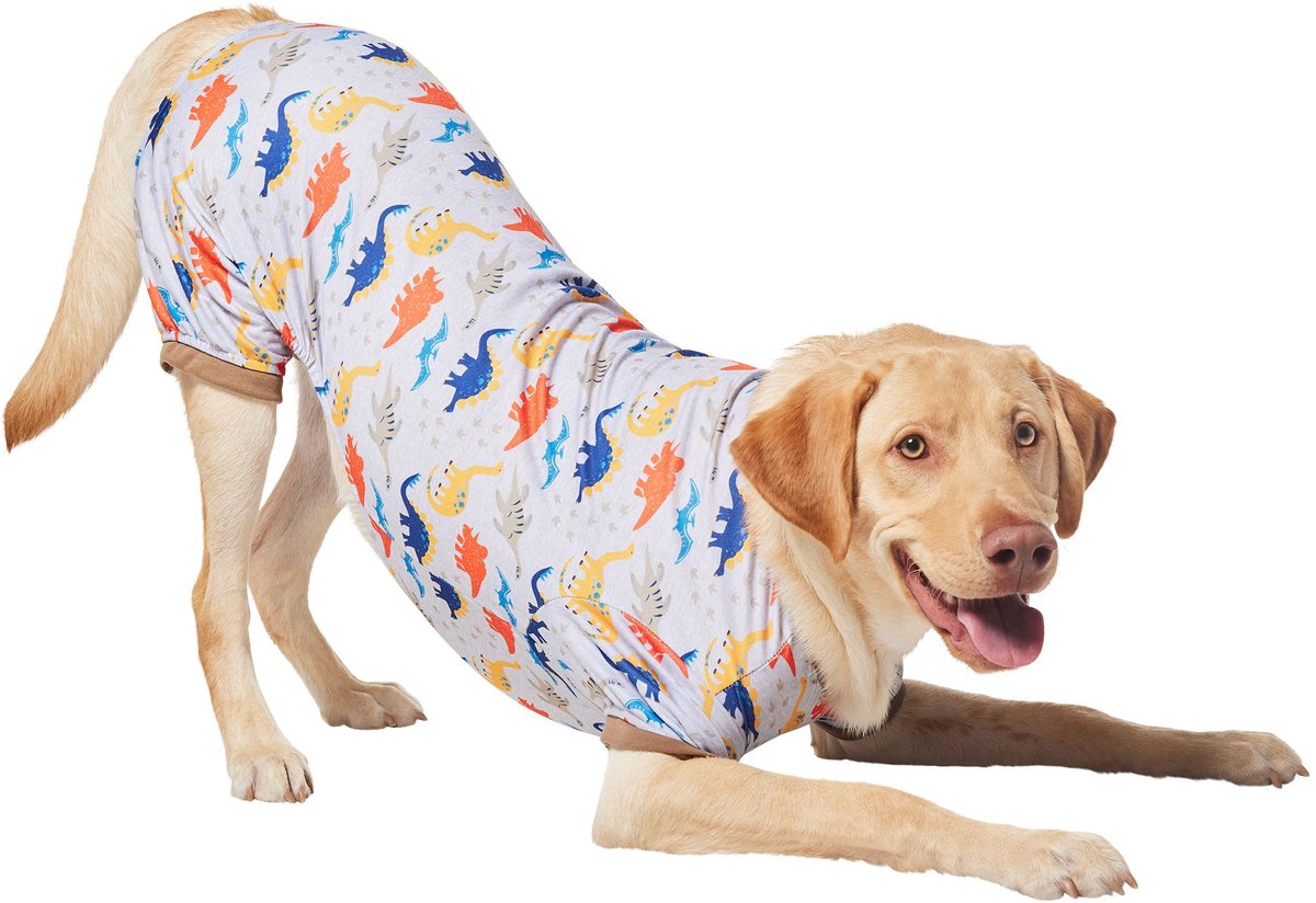 Frisco Dinosaur Dog and Cat Jersey PJs