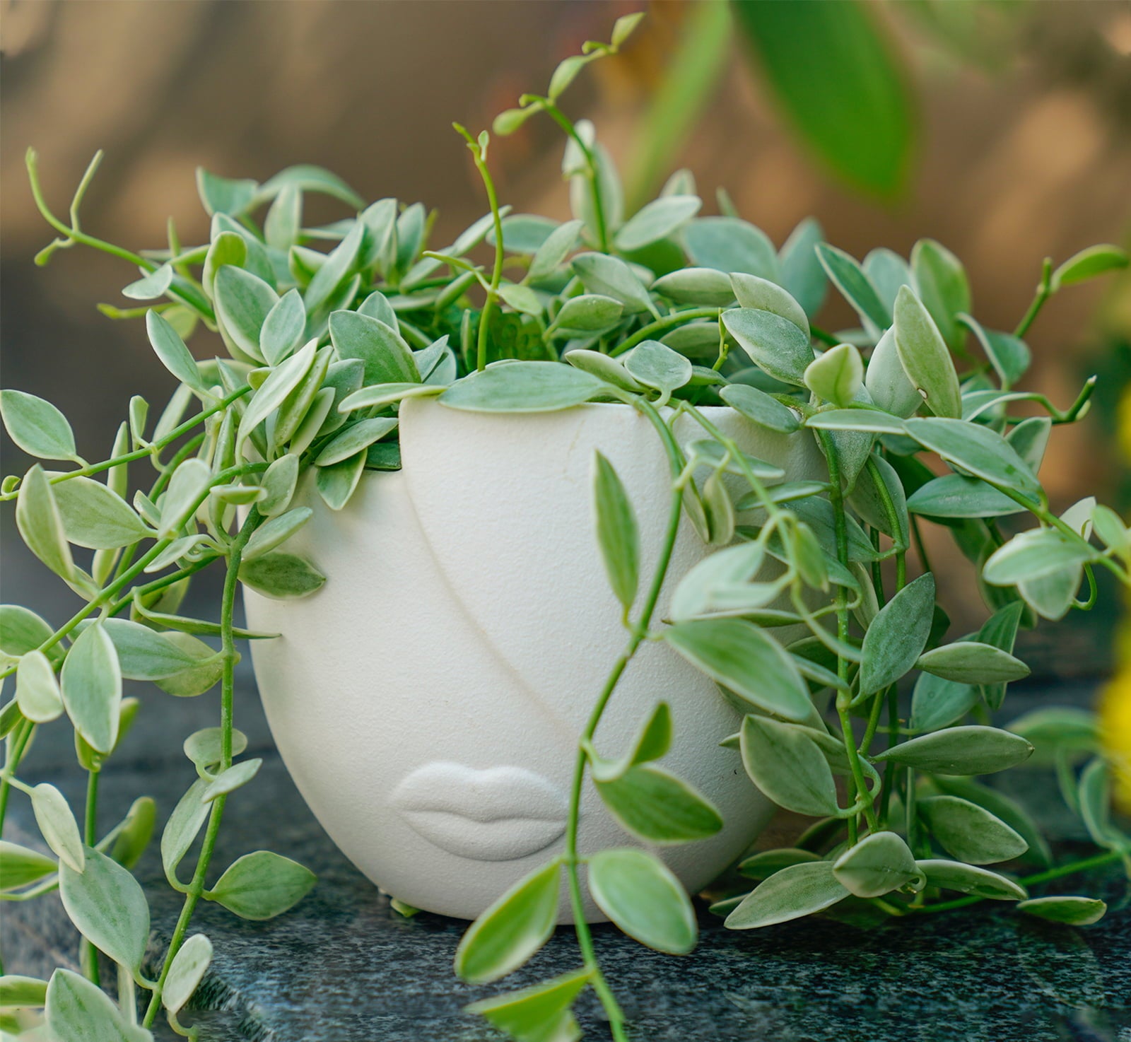 Garden Succulent Planter Flower Pots Set of 2, Indoor Planter Pots with Drainage Hole, Ceramic White 5.4” + 4.7”