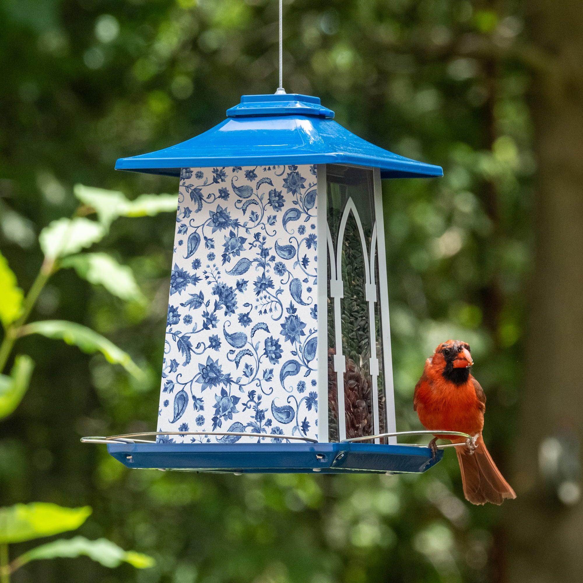 Wild Wings Paisley Arches Gazebo Bird Feeder， 3.3 Quart， Blue