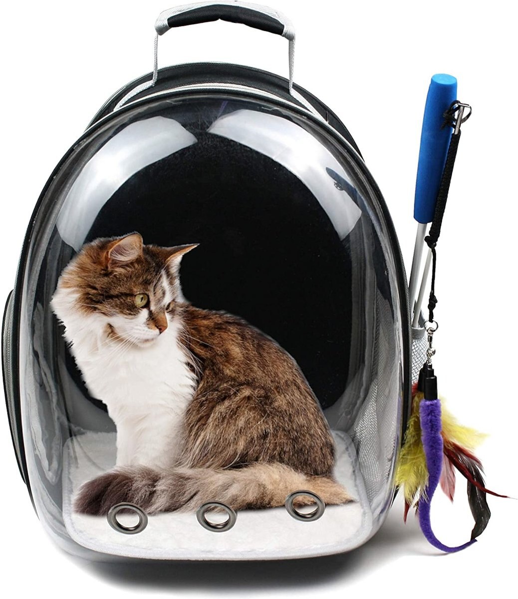 Pet Fit For Life Dog and Cat Carrier Backpack