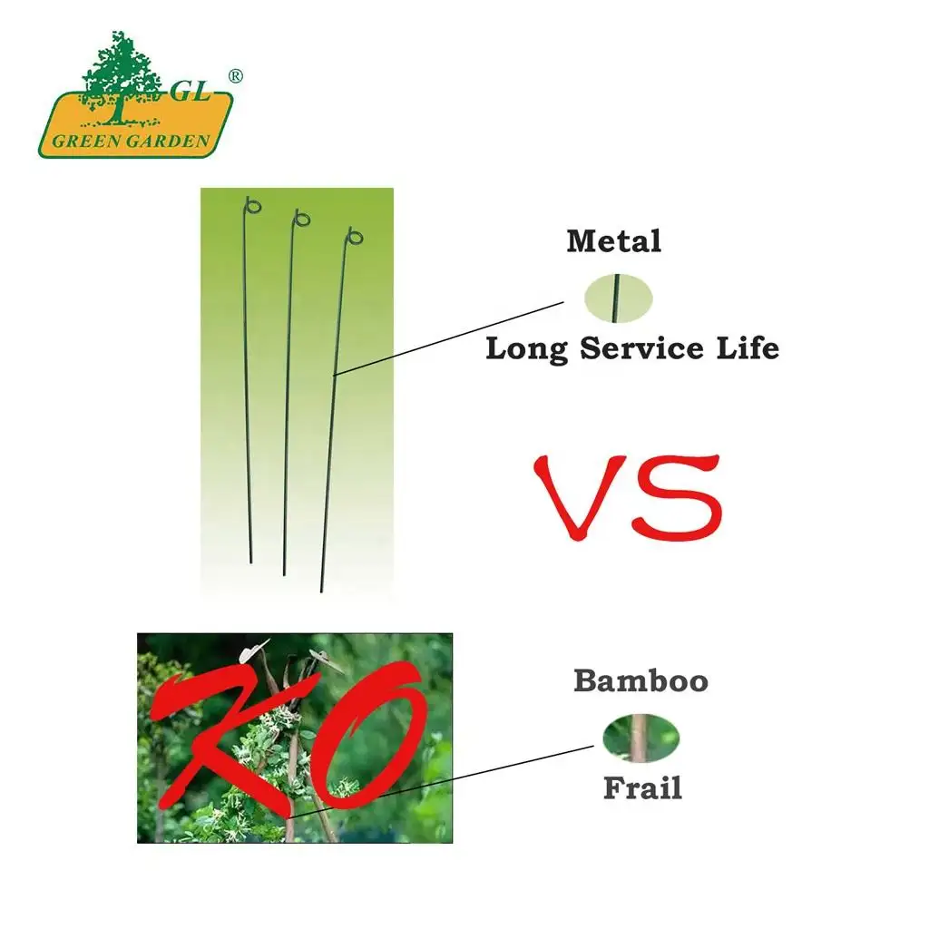 On Selling High Quality for Climbing Plant Supports Garden Plastic Climbing Plant Support