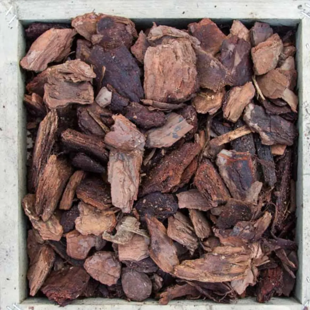 HOT SALE  PINE BARK with cheap price wholesale in Viet Nam