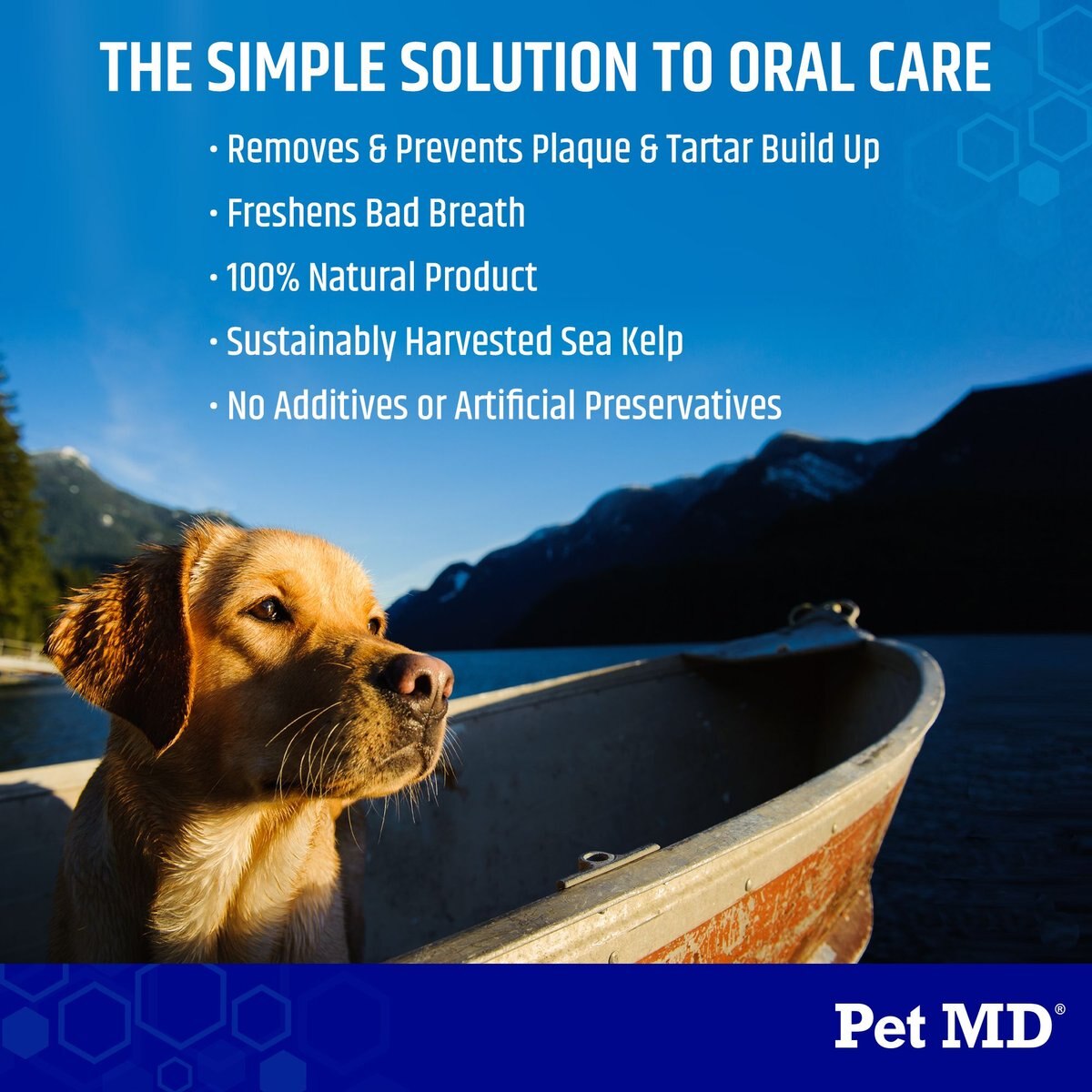 Pet MD Proden PlaqueOff Teeth Cleaning Dental Care Powder Dog Dental Supplement， 60-grams