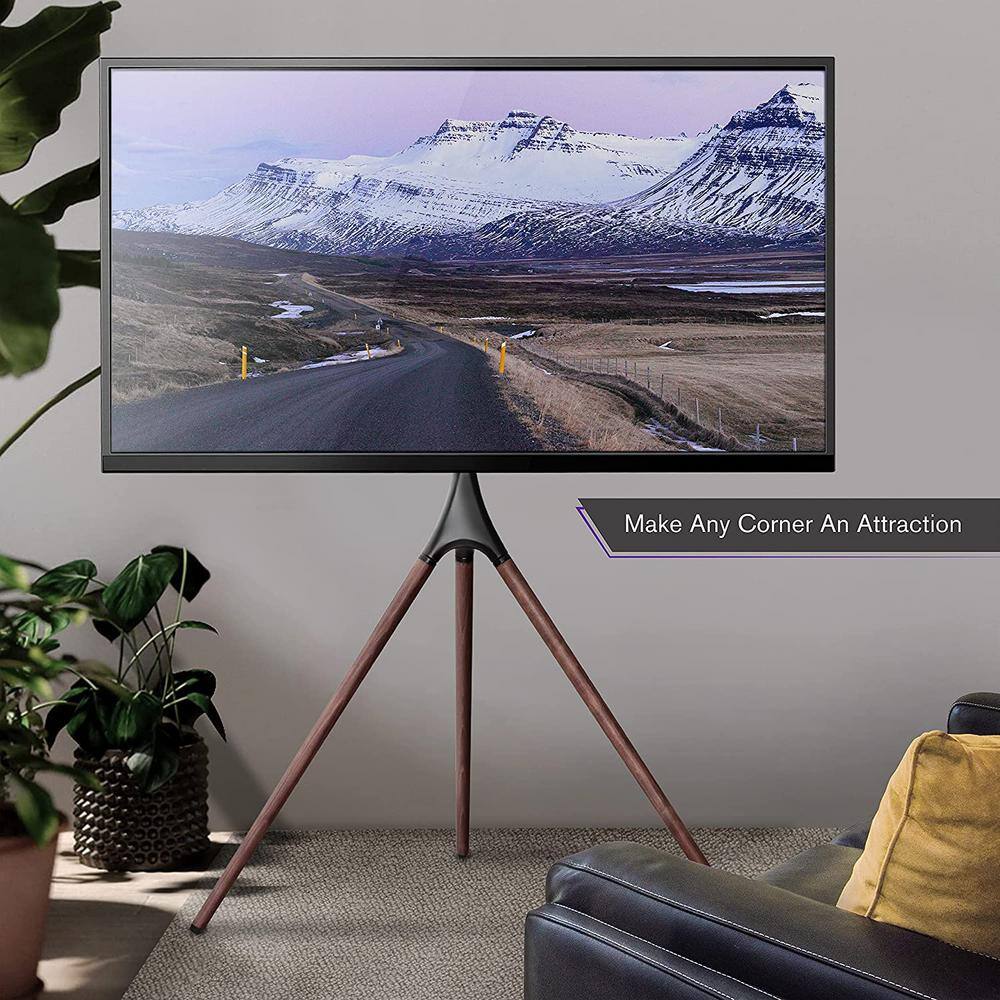 ProMounts Artistic TV Stand for 45-70 in. TVs Tripod TV Stand Mount VESA 200x200 to 600x400 180 Swivel Easy to Install Mount AFMSS6401